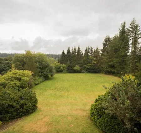 Holiday home Harzhaus Hahnenklee *